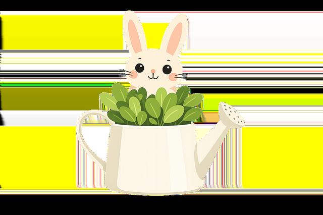 疫情期宅家腌韩式辣白菜【视频】
