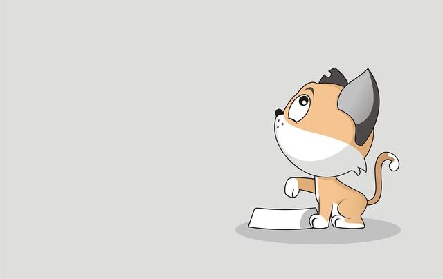 队长小翼：最强十一人