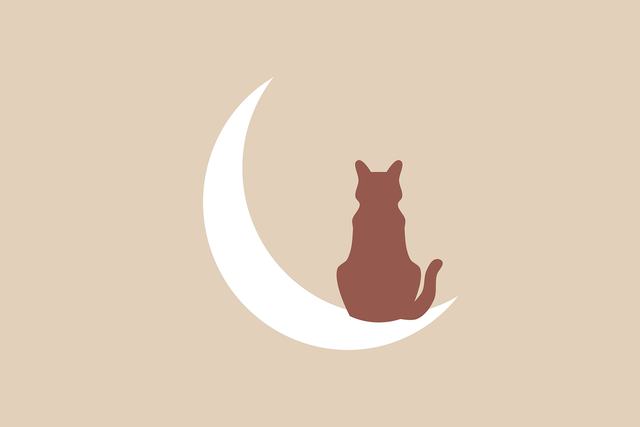 威斯尼斯人官方app登录