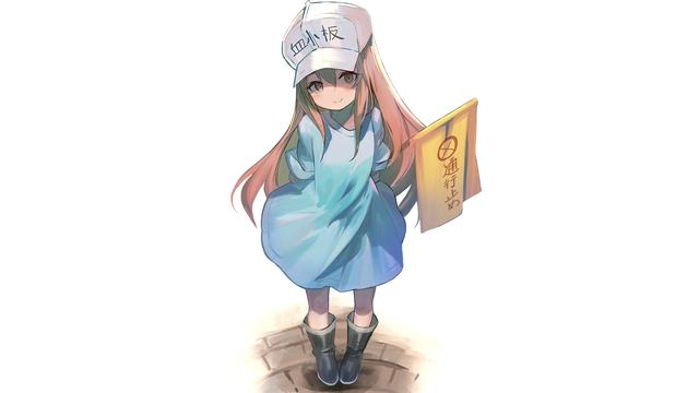 鲁大师手机在线播放免费软件-鲁大师手机在线播放免费软件最新appwwwvv11iphone版_61zq安卓网
