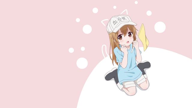 百亿品牌“东北省服”迪桑特为何盯上深圳