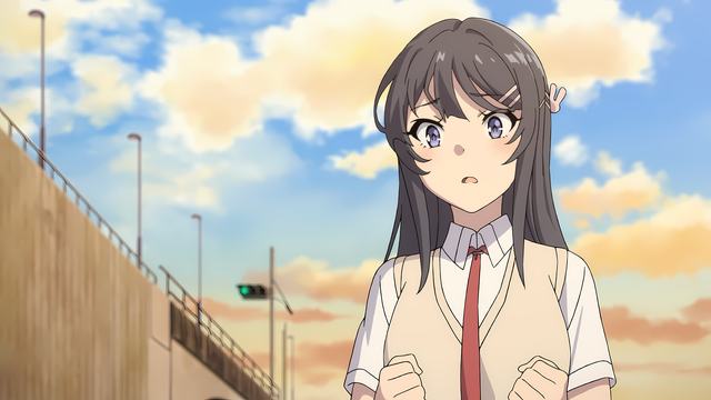 91动画软件-91动画软件手机版正版wwwvv84iphone版_61zq安卓网截图4