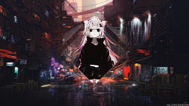 金志强：在研究香蕉这条路上没有休止符